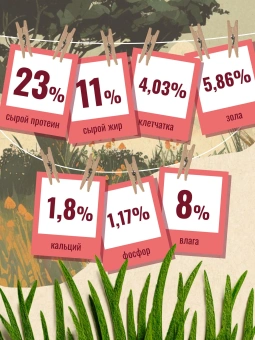 "Счастливый Пёс" для всех пород собак, Мясной Микс 10кг фото, цены, купить