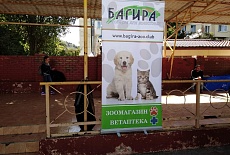 Фотоотчет с выставок сентября