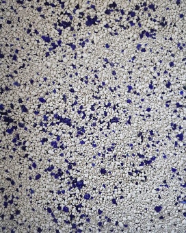 Сибирская кошка наполнитель "УЛЬТРА PRESTIGE"  (комкующий) 5л+20% фото, цены, купить