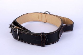 Ошейник Collar 35мм 48-63см с ручкой  фото, цены, купить