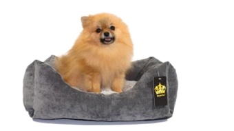 Лежак Элегант Вельвет Серый №2 фото, цены, купить