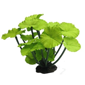 Шелковое растение "Нимфея зеленая" 25*20*16см фото, цены, купить