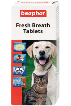 Таблетки освежающие дыхание Fresh Breath Tablets фото, цены, купить