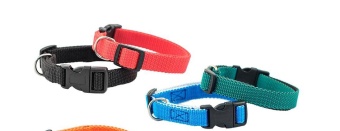 Капрон Ошейник 15мм одинарный цветной 44см фото, цены, купить