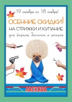 Осеннее предложение в груминг салоне Ласкава