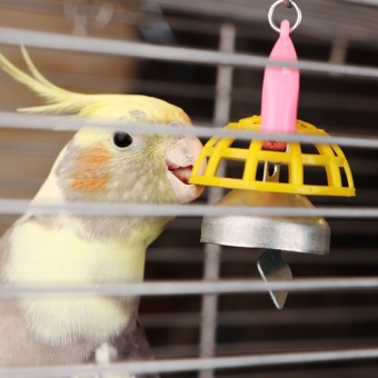 Игрушка Бриллиант колокольчиком №1 д/пт  951777