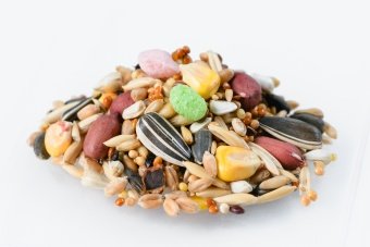 ЗООМИР "Сильвер" - корм для средних попугаев 800 г фото, цены, купить