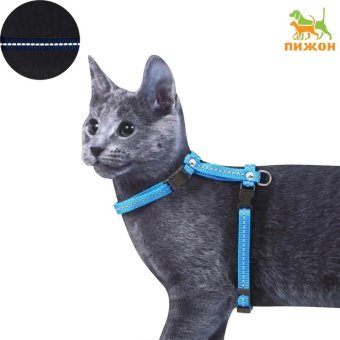 Шлейка для кошек, ширина 1 см, светоотражающий, ОШ 16,5-27 см, ОГ 21-35 см, синий (1/50) фото, цены, купить