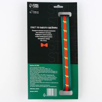 Ошейник "На стиле", застёжка-фастекс 2,5*40-55см фото, цены, купить