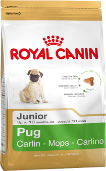 Royal Canin для щенков породы Мопс Юниор 1,5кг фото, цены, купить