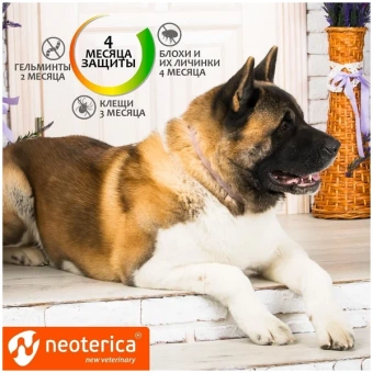 Ошейник Inspector (Инспектор) для собак средних пород 65см фото, цены, купить