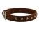 Ошейник кожаный двойной с украшением 30мм 44-53см фото, цены, купить