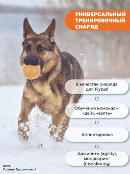 Мяч DogLike 6см , малый, бежевый фото, цены, купить