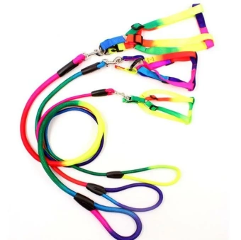 Комплект Зоомикс Радуга круглый поводок 1*120см+шлейка 2*60см фото Комплект Зоомикс Радуга круглый поводок 1*120см+шлейка 2*60см фото, цены, купить