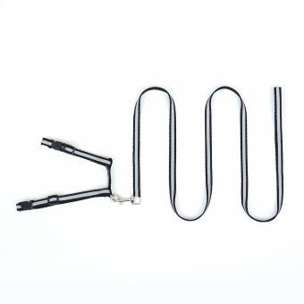 Комплект для кошек светоотражающий,ширина 1 см,шлейка 21-35 см,поводок 120 см, чёрный фото, цены, купить