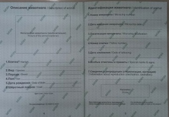 БАГИРА паспорт для кошек и собак голубой (Россия) фото, цены, купить