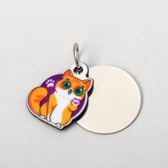 Адресник под гравировку, подвес акрил "Рыжий кот" 3*3см фото, цены, купить