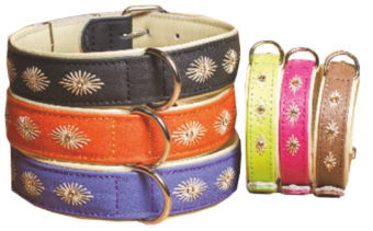 (7019) Before Ошейник 35мм 45-56см с украшением фото, цены, купить