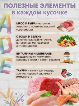 Пауч SHELIVIA Утка,Морковь,Шпинат в желе для кошек 85г фото, цены, купить