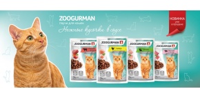 Новинка! Влажный корм для кошек Zoogurman