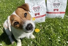 Корм Best Dinner для собак и кошек