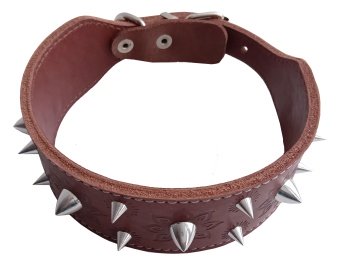 Ошейник 20мм натуральная кожа, двухслойный, тисненый широкий с шипами фото, цены, купить