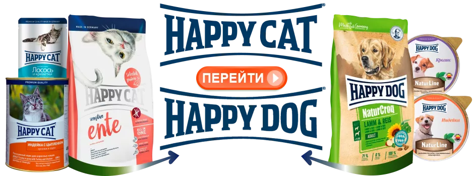 Новинки