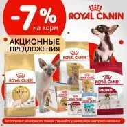 Royal Canin выгодное предложение с 30 августа по 5 сентября