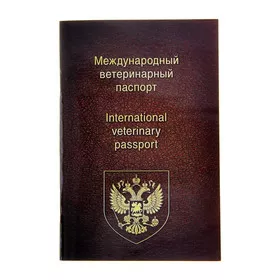 Фото На Паспорт Симферополь