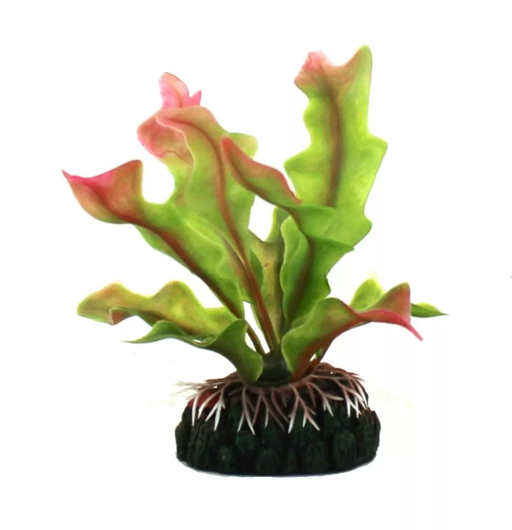 Искусственное растение "Барклая" 15 см. (2220) фото, цены, купить