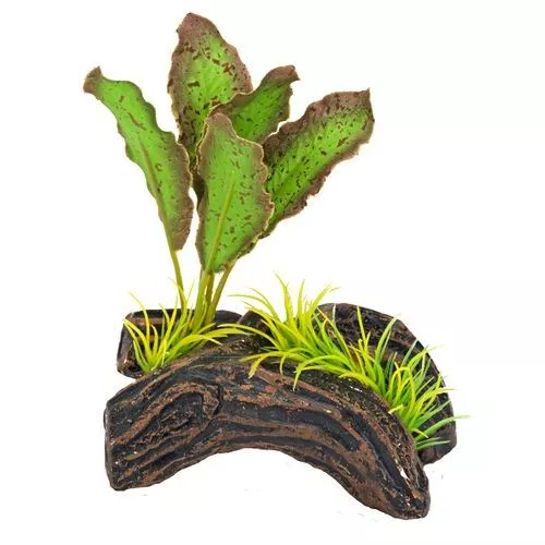 Распылитель Растение на Бревне 8см  PS114 фото, цены, купить