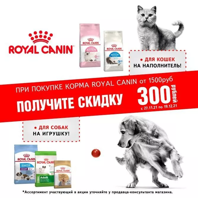ROYAL CANIN ОТ 1500р + СКИДКА 300р на покупку наполнителя или игрушки