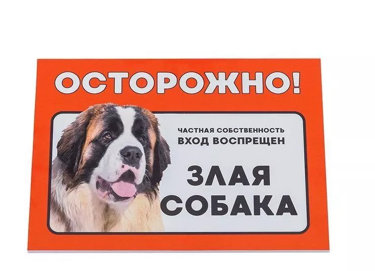 Табличка "Осторожно злая собака!" сенбернар  14*21см фото, цены, купить