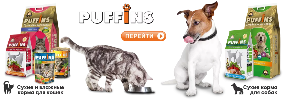 ПУФФИНС